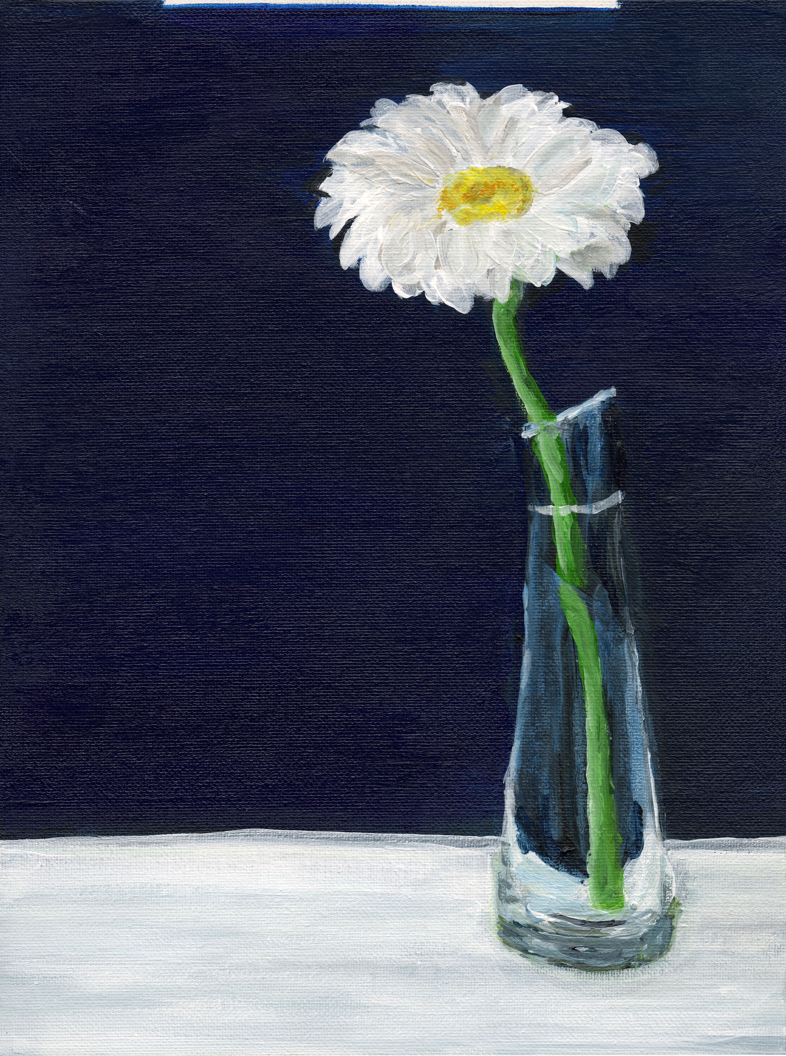 Bodega Garden - White Zinnia in Vase