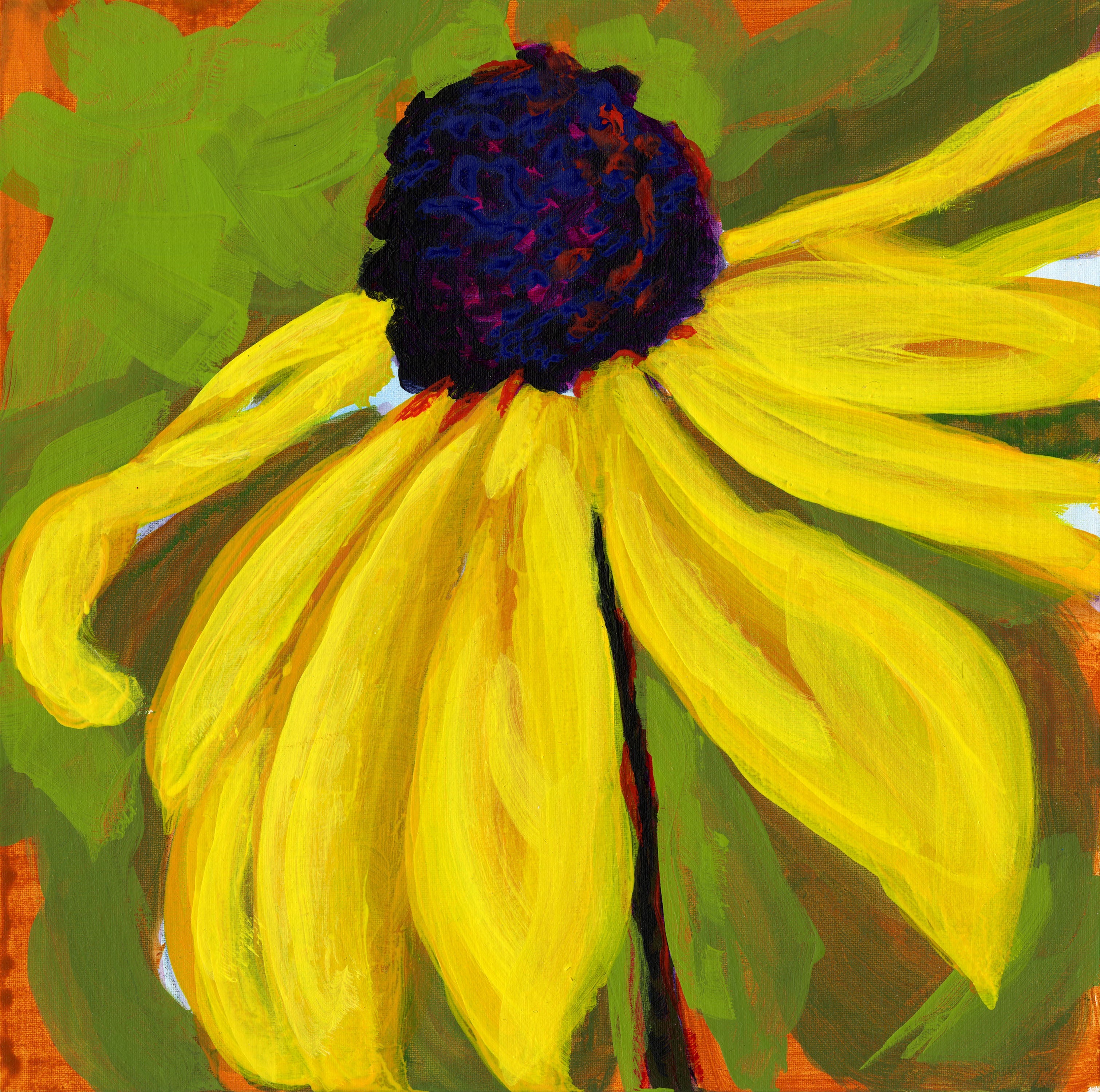 Borrowed Garden - Daisy
