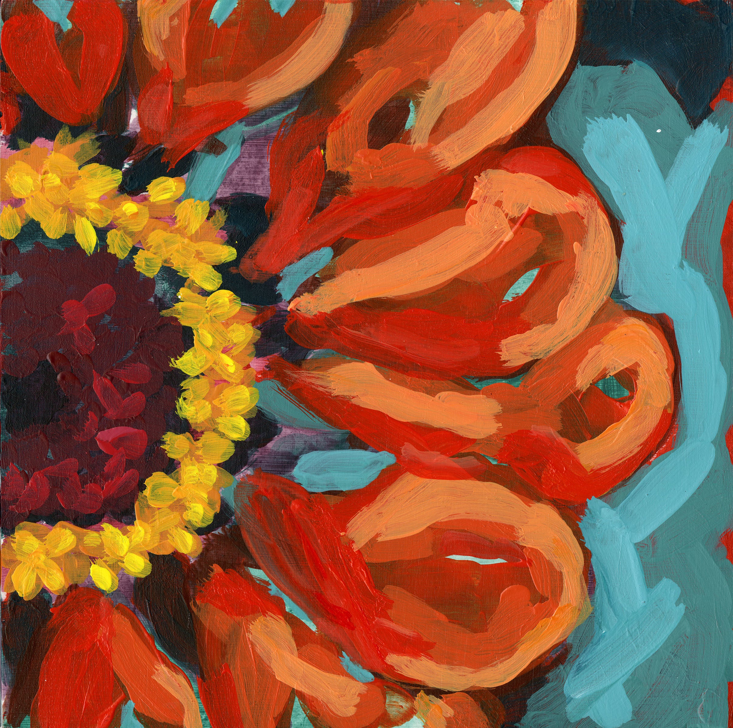 Borrowed Garden - Zinnia