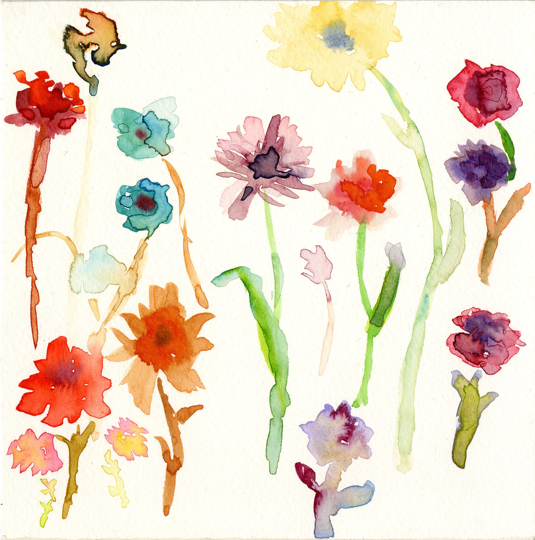 Flowers in Water - Loose Flowers with Stems