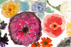 Colorful watercolor flowers on a white background