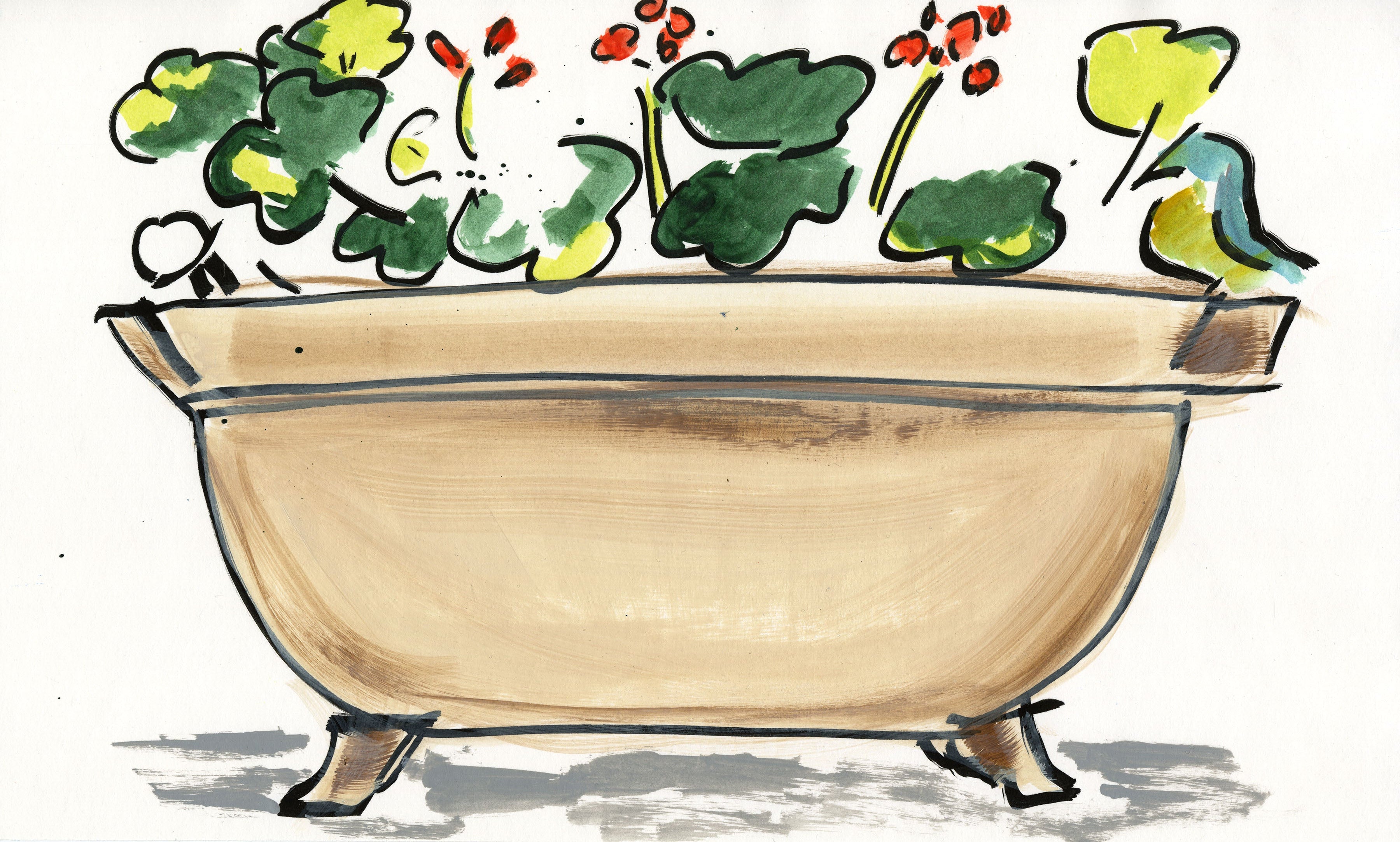 Illustrating Life - Illustrated Geraniums NYC Windowsill
